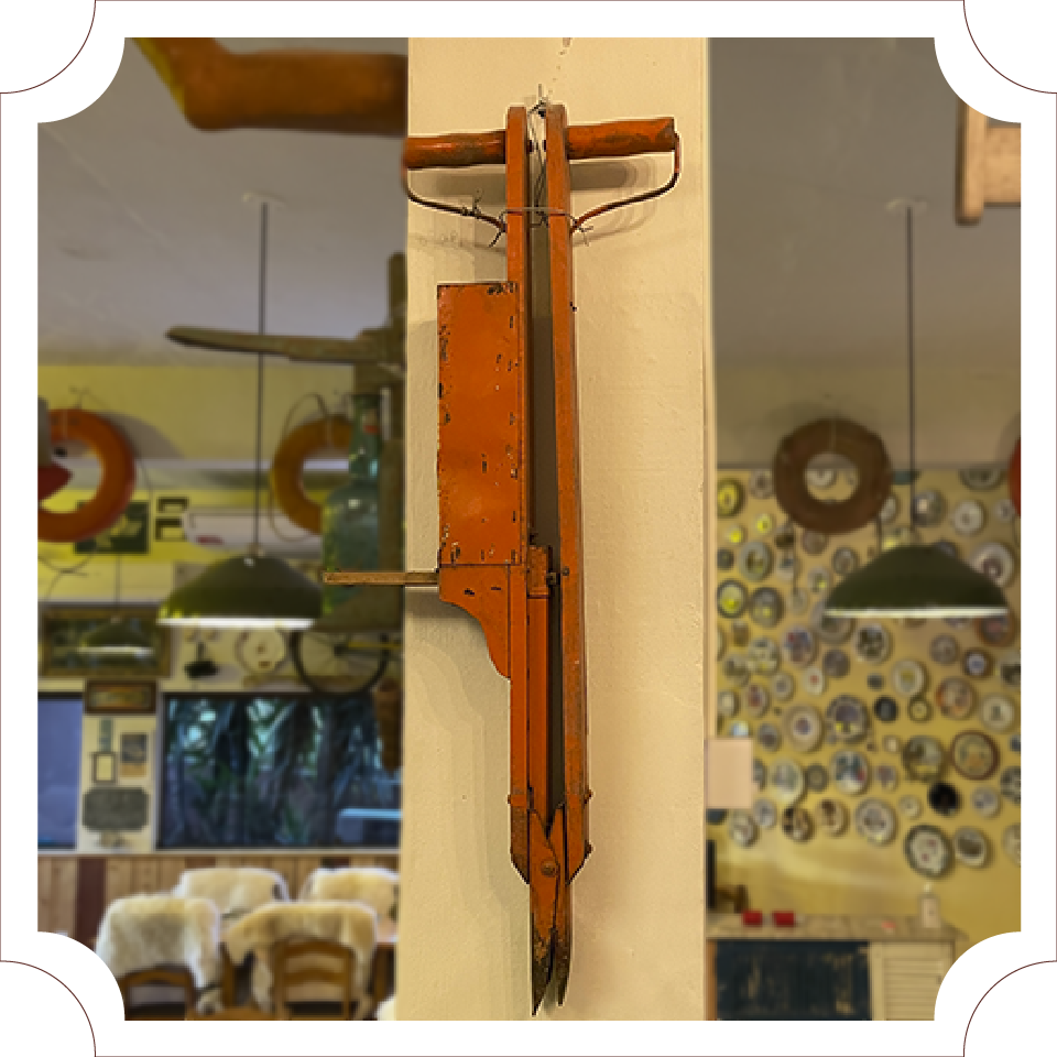 Semeadeira de Grãos